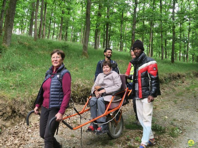 Randonnée joëlettes à Ciergnon