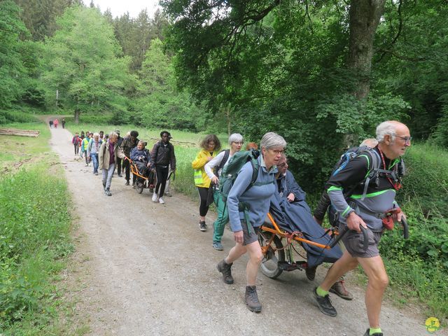 Randonnée joëlettes à Ciergnon