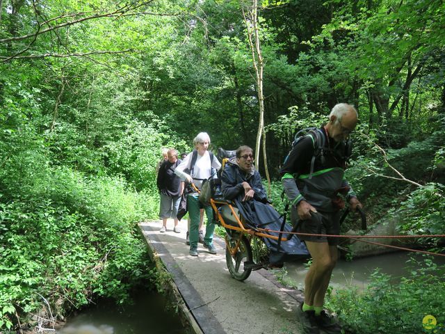 Randonnée joëlettes à Ciergnon