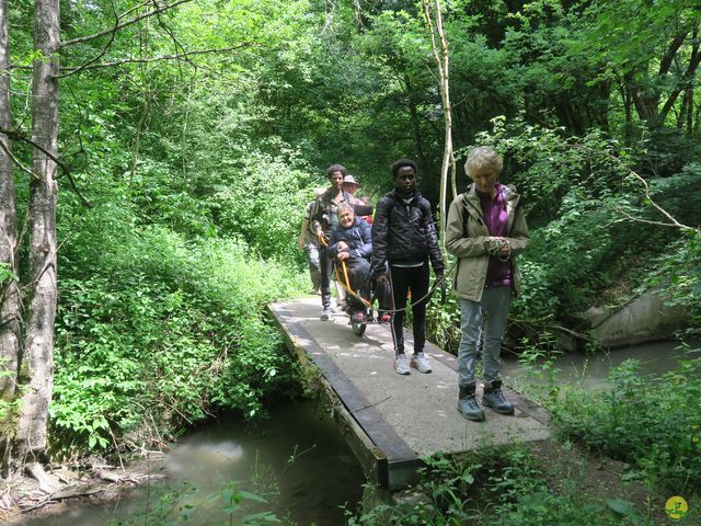 Randonnée joëlettes à Ciergnon