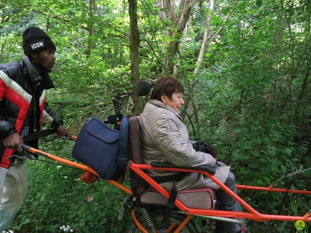 Randonnée joëlettes à Ciergnon