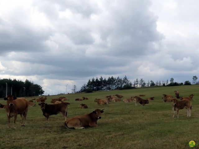 Randonnée joëlettes à Ciergnon