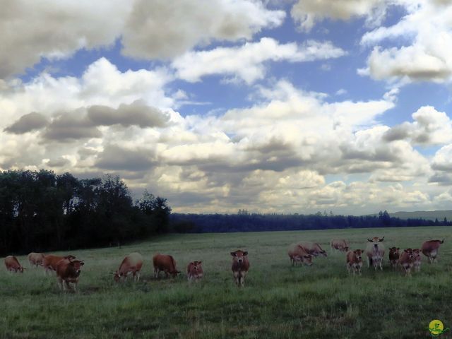 Randonnée joëlettes à Ciergnon