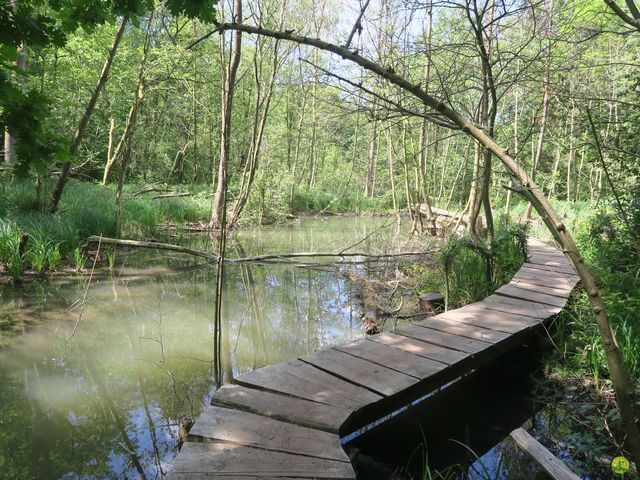 Randonnée joëlettes à Louvain-la-Neuve