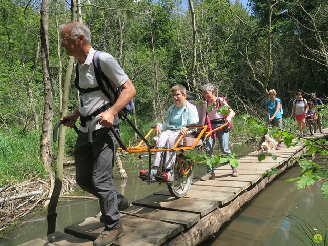 Randonnée joëlettes à Louvain-la-Neuve