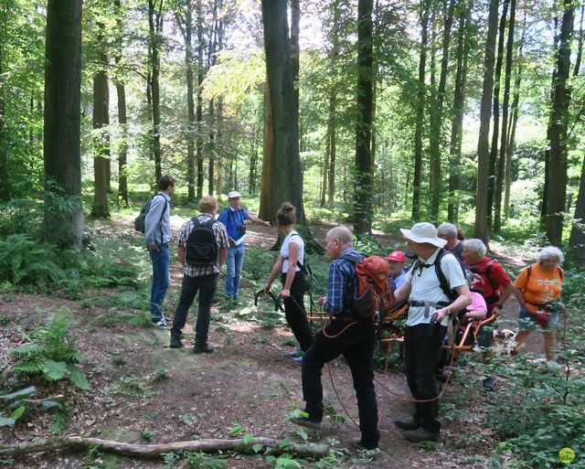 Randonnée joëlettes à Louvain-la-Neuve