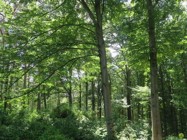 Randonnée joëlettes à Louvain-la-Neuve