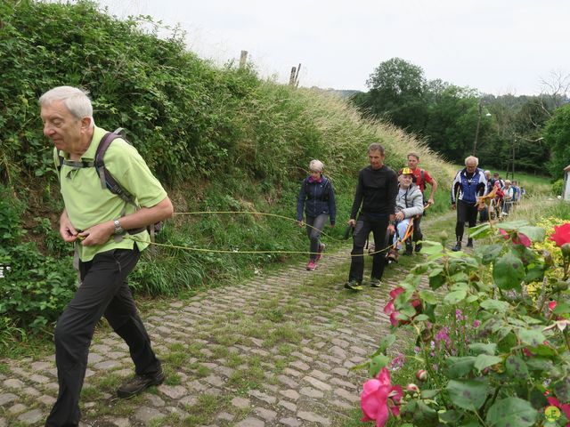 Randonnée joëlettes à Montignies-sur-Roc