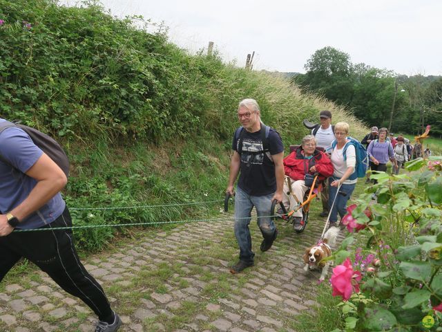 Randonnée joëlettes à Montignies-sur-Roc