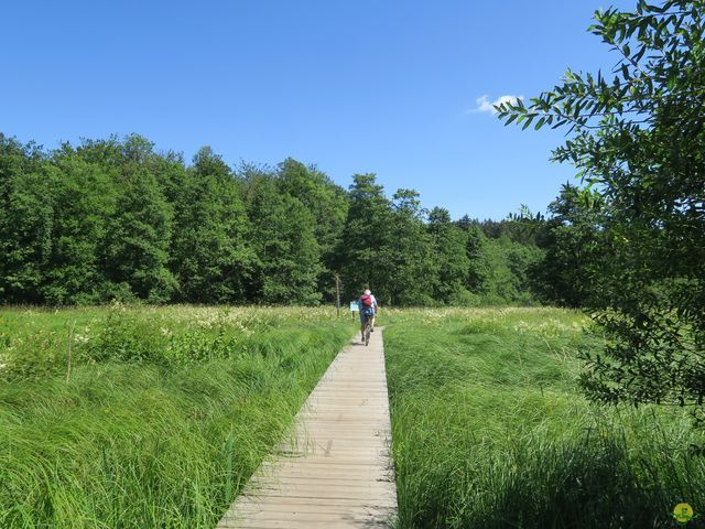 Randonnée joëlettes à Habay-la-N.