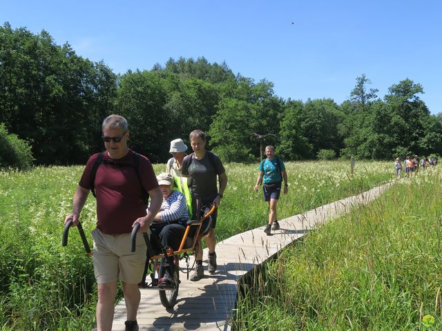 Randonnée joëlettes à Habay-la-N.