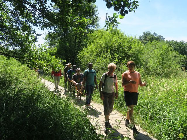 Randonnée joëlettes à Habay-la-N.