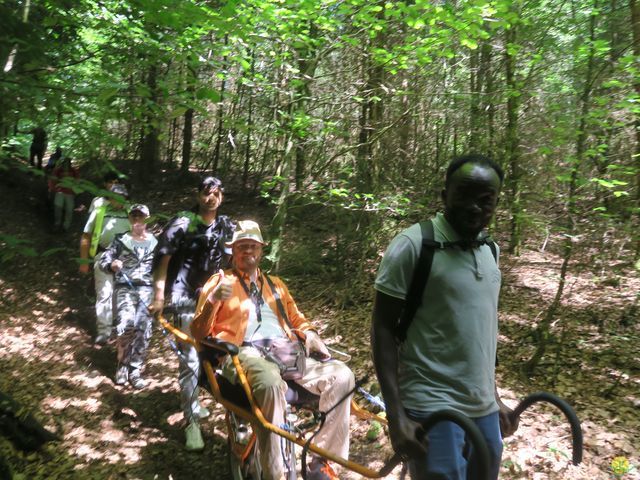 Randonnée joëlettes à Habay-la-N.