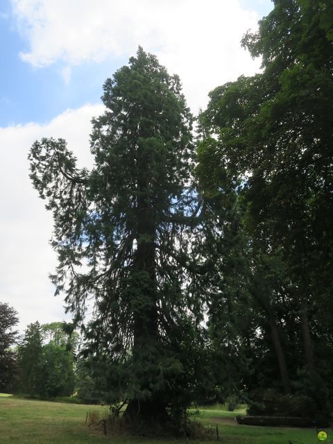 Randonnée joëlettes à Anthisnes