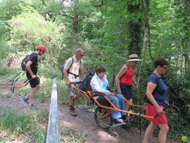 Randonnée joëlettes à Anthisnes