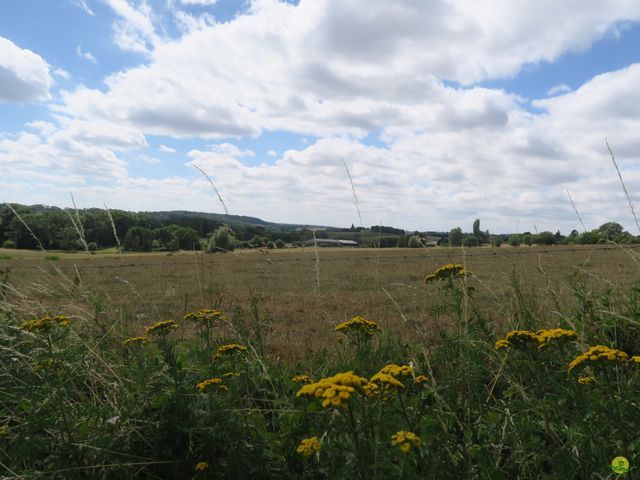 Randonnée joëlettes à Anthisnes