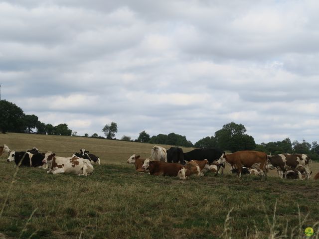 Randonnée joëlettes à Anthisnes