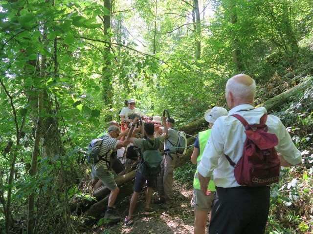 Randonnée joëlettes à Vieuxville