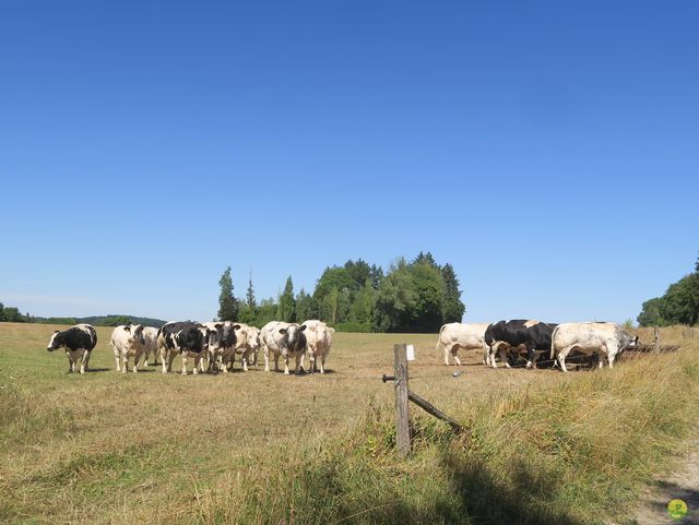 Randonnée joëlettes à Vieuxville