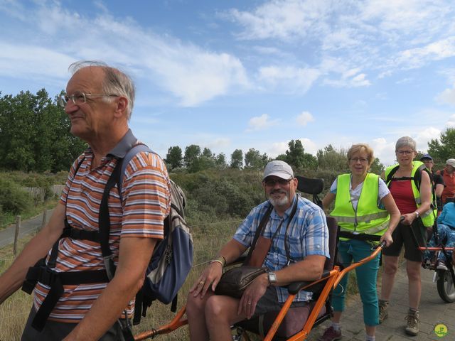 Randonnée joëlettes à Westende