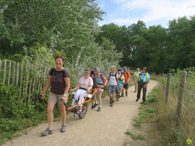 Randonnée joëlettes à Westende