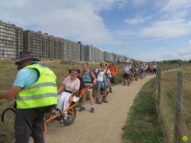 Randonnée joëlettes à Westende