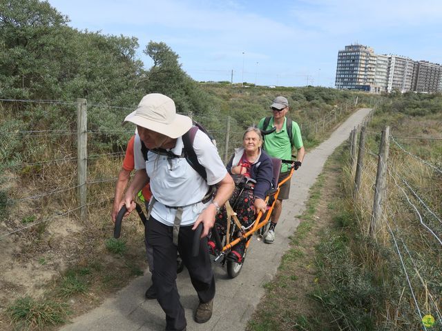 Randonnée joëlettes à Westende