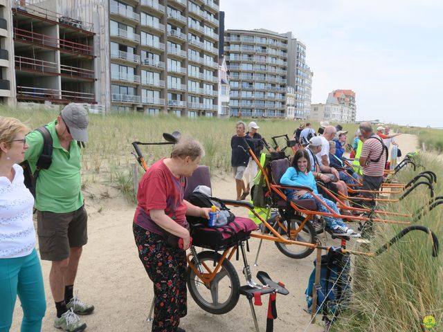 Randonnée joëlettes à Westende