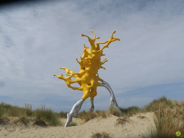 Randonnée joëlettes à Westende