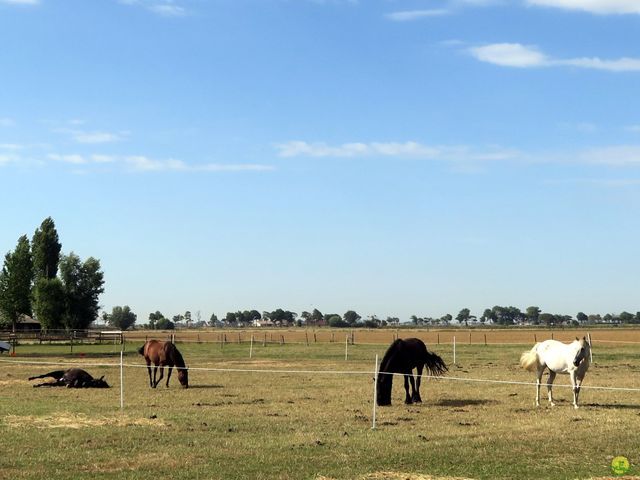 Randonnée joëlettes à Leffinge