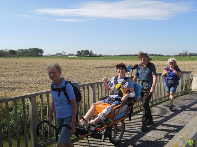 Randonnée joëlettes à Leffinge