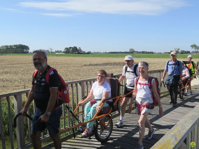 Randonnée joëlettes à Leffinge