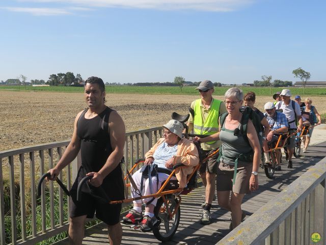 Randonnée joëlettes à Leffinge