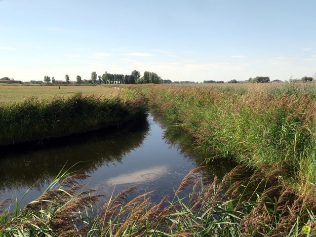 Randonnée joëlettes à Leffinge