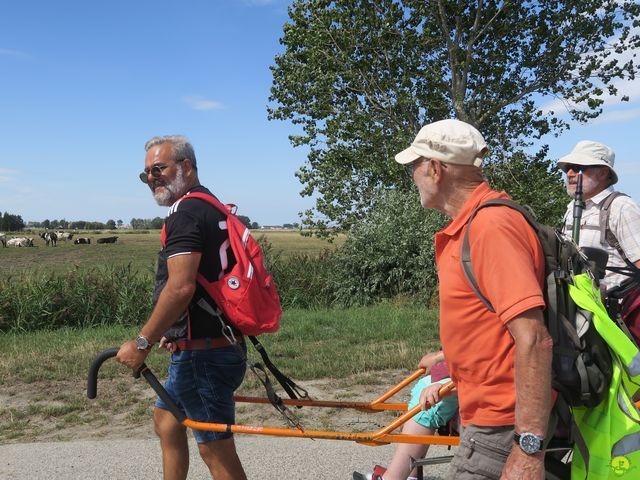 Randonnée joëlettes à Leffinge