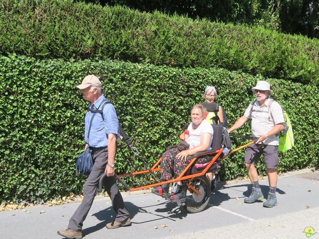 Randonnée joëlettes à Leffinge