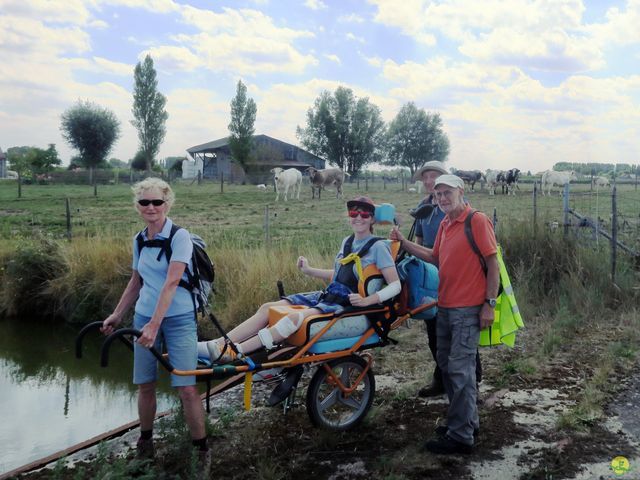 Randonnée joëlettes à Leffinge