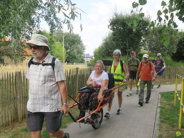 Randonnée joëlettes à Leffinge