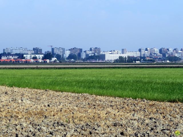 Randonnée joëlettes à Middelkerke