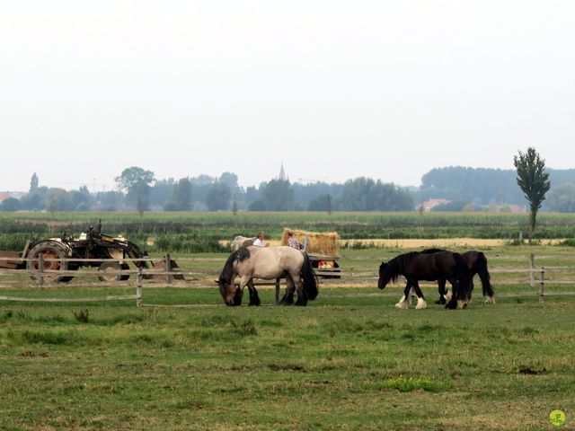 Randonnée joëlettes à Middelkerke