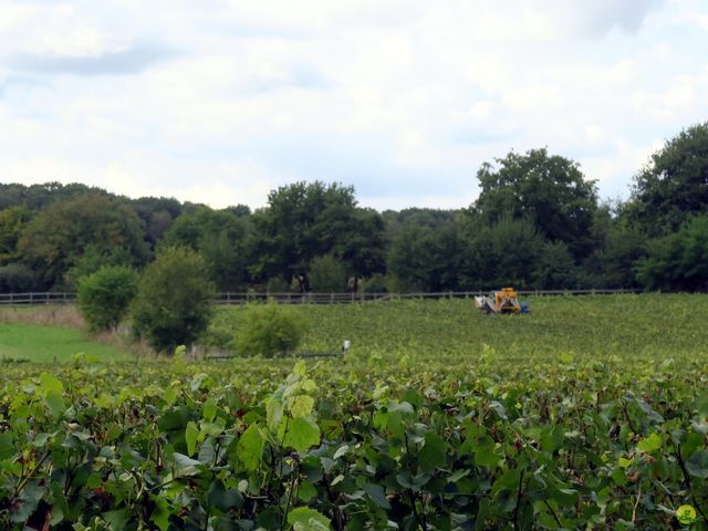 Randonnée joëlettes à Oud-Heverlee