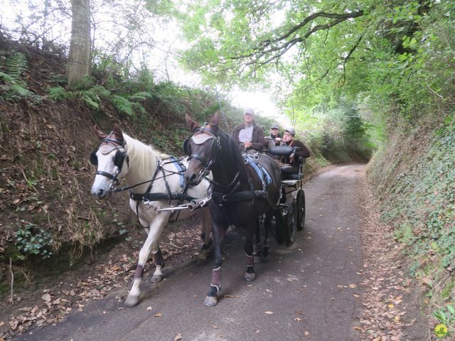 Randonnée joëlettes à Oud-Heverlee