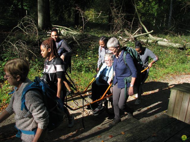 Randonnée joëlettes à Watermael-Boitsfort