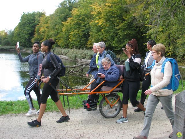 Randonnée joëlettes à Watermael-Boitsfort