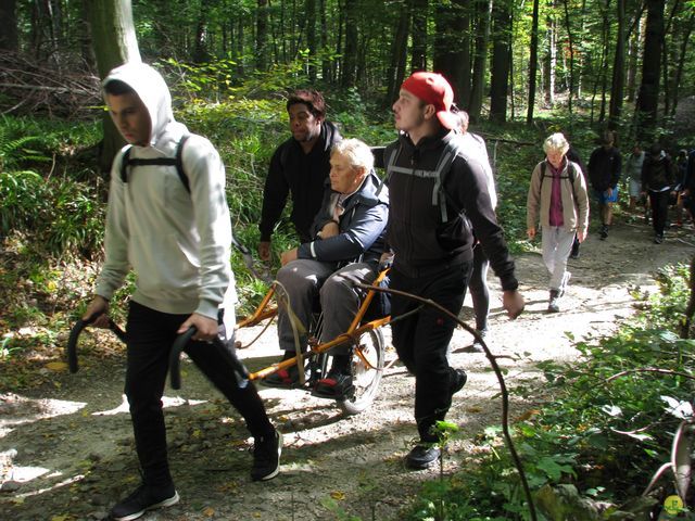 Randonnée joëlettes à Watermael-Boitsfort