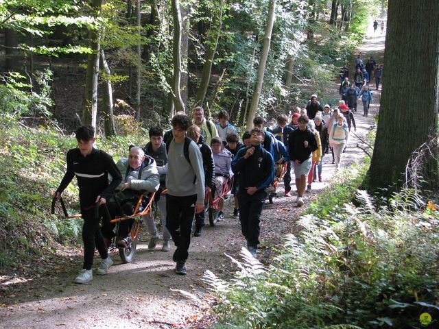 Randonnée joëlettes à Watermael-Boitsfort