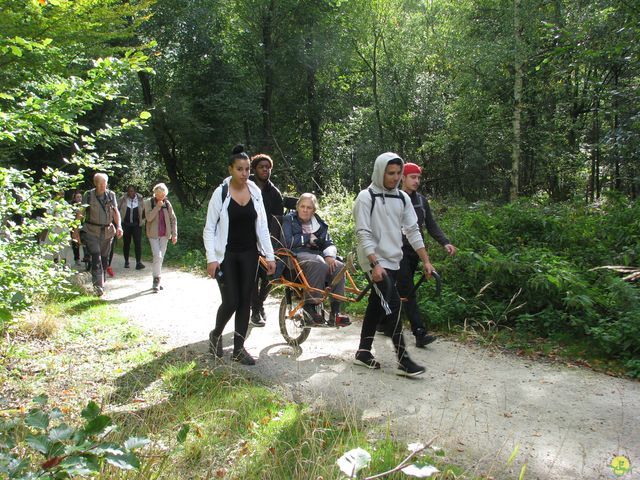 Randonnée joëlettes à Watermael-Boitsfort