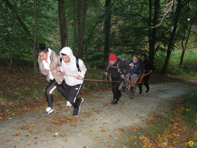 Randonnée joëlettes à Watermael-Boitsfort