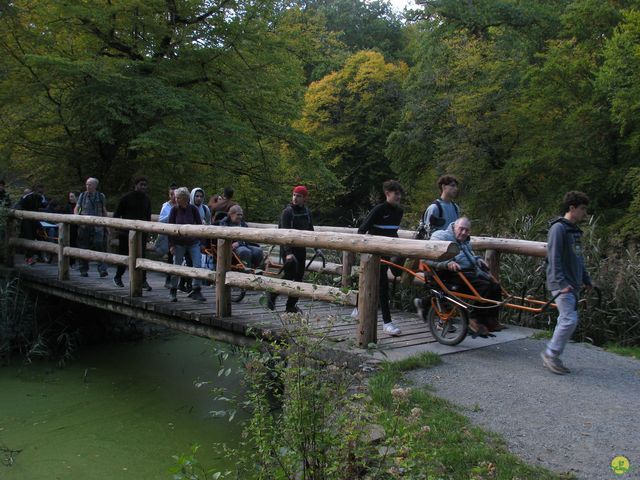 Randonnée joëlettes à Watermael-Boitsfort