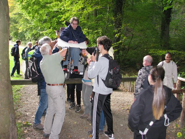 Randonnée joëlettes à Watermael-Boitsfort